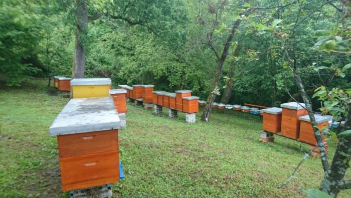 dsc 0320 816x460 fit 700x395